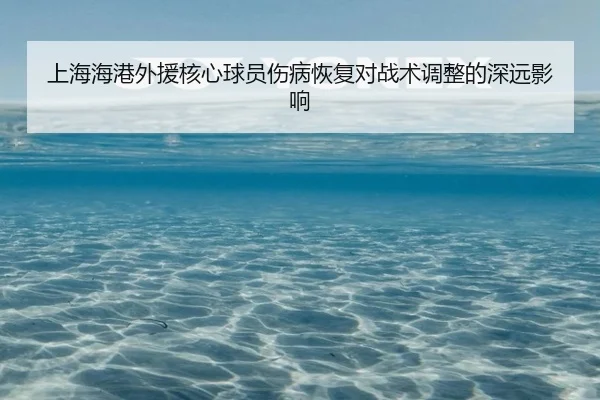 上海海港外援核心球员伤病恢复对战术调整的深远影响